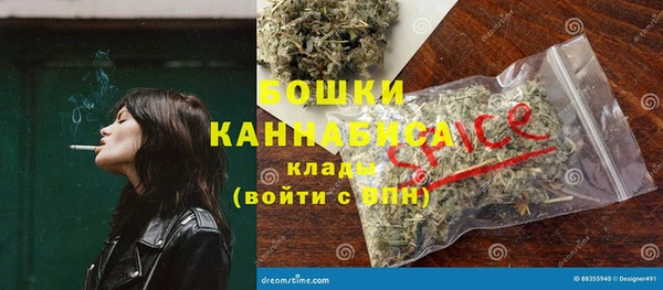 твердый Бердск